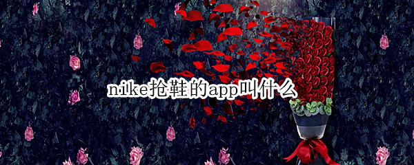 nike抢鞋的app叫什么