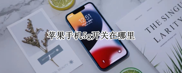 苹果手机5g开关在哪里