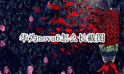 华为nova6怎么长截图 华为nova6长截图如何截取长图