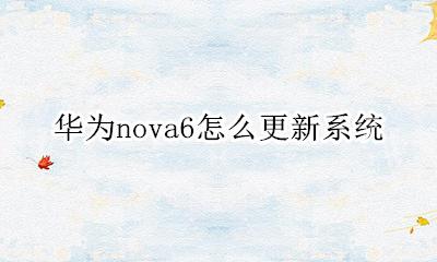 华为nova6怎么更新系统 华为nova6更新系统会卡吗