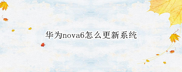 华为nova6怎么更新系统