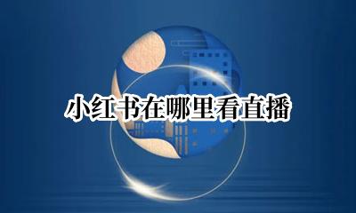 小红书在哪里看直播 小红书在哪里可以看直播