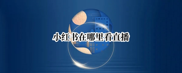 小红书在哪里看直播