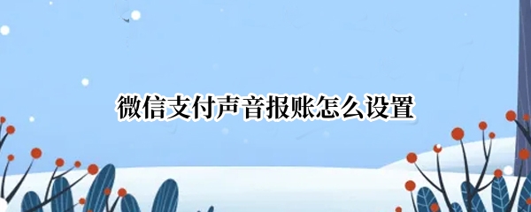 微信支付声音报账怎么设置