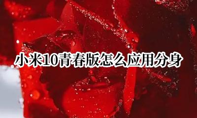 小米10青春版怎么应用分身 小米10青春版如何应用分身