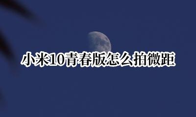 小米10青春版 微距 小米10青春版怎么拍微距