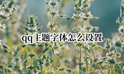 qq字体怎么设置 qq主题字体怎么设置