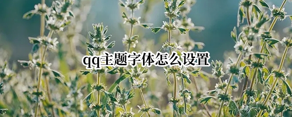 qq主题字体怎么设置