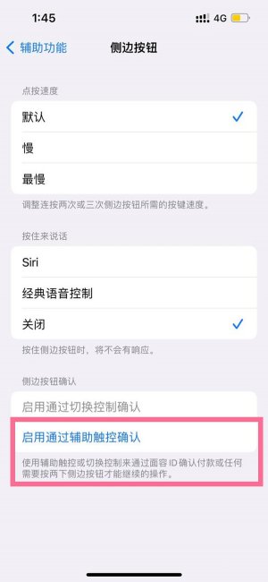 苹果侧边按钮怎么设置
