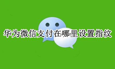 华为微信支付在哪里设置指纹 华为微信支付设置指纹在哪里设置