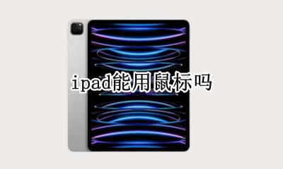 ipad能用鼠标吗 iPad可以用鼠标吗?