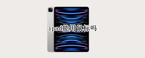 ipad能用鼠标吗