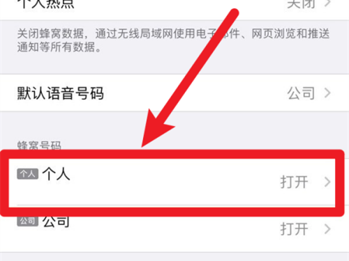 13promax5g怎么开