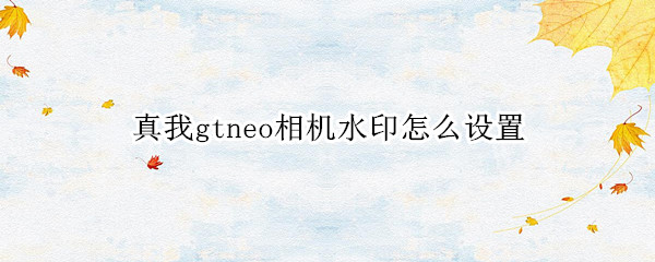 真我gtneo相机水印怎么设置