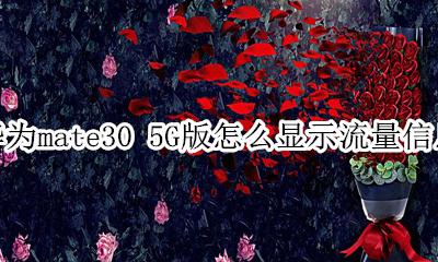 华为mate30 5G版怎么显示流量信息 如何设置显示流量信息