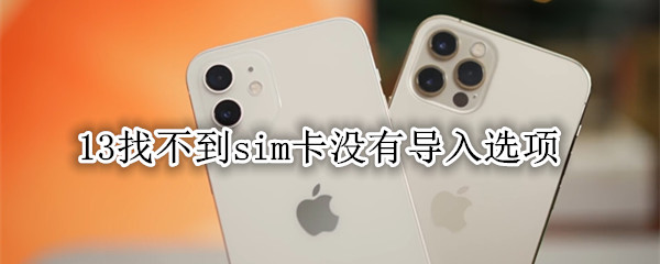 13找不到sim卡没有导入选项