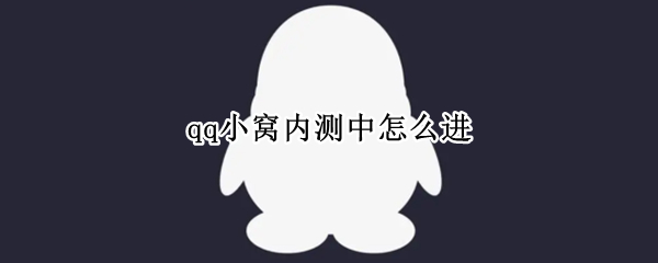 qq小窝内测中怎么进
