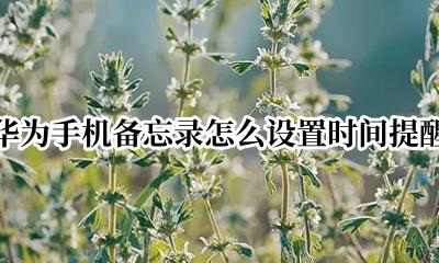 华为手机备忘录怎么设置时间提醒 华为手机备忘录怎样设置时间提醒