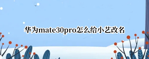华为mate30pro怎么给小艺改名
