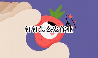 钉钉怎么发作业 如何使用钉钉发作业
