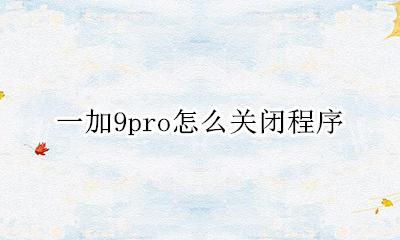 一加9pro怎么关闭程序 一加9pro开发者选项怎么关闭