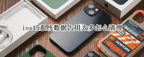 ios15系统数据占用太多怎么清理