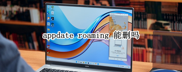 appdate roaming 能删吗