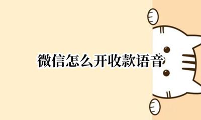微信怎么开收款语音 微信怎样开启收款语音