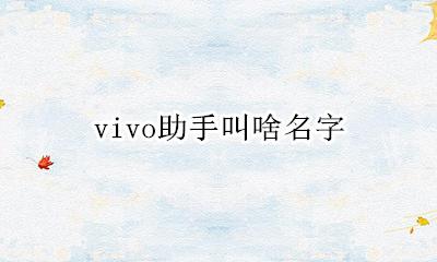vivo助手叫啥名字 vivo手机助手叫啥名