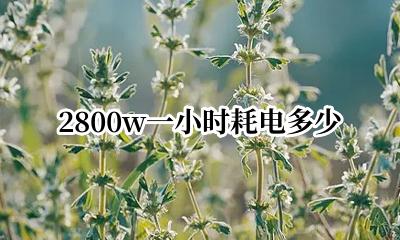 2800w一小时耗电多少 功率2800w一小时耗电多少