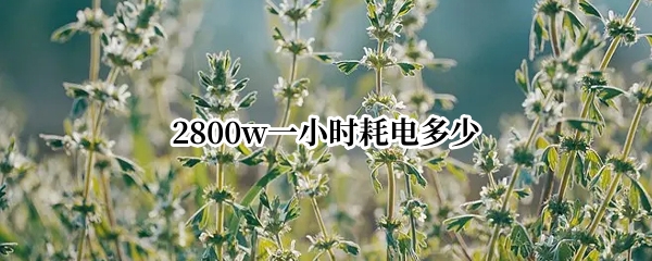 2800w一小时耗电多少