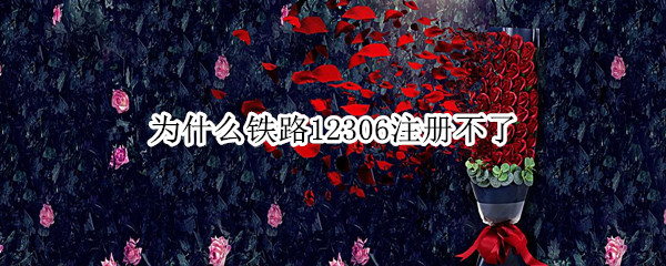 为什么铁路12306注册不了