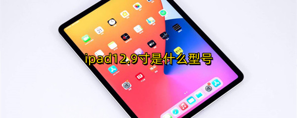 ipad12.9寸是什么型号
