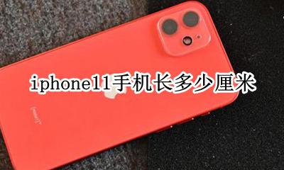 iphone11手机长度多少 iphone11手机长多少厘米