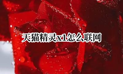 天猫精灵x1怎么联网 怎么连接天猫精灵x1