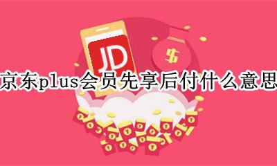 京东plus 先享后付 京东plus会员先享后付什么意思