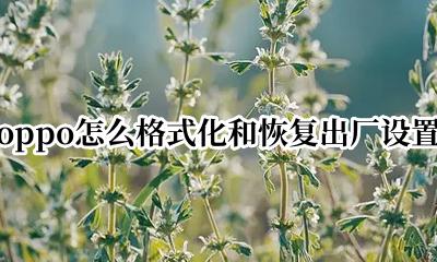 oppo手机格式化还能找回吗 oppo怎么格式化和恢复出厂设置
