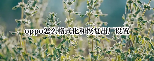 oppo怎么格式化和恢复出厂设置