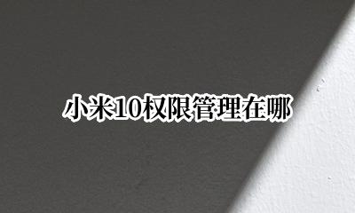 小米10权限管理在哪 小米10s权限管理在哪里