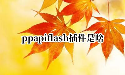 ppapiflash插件是啥 ppapiflash插件有广告吗