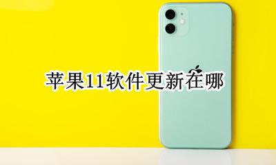 苹果11软件更新在哪 苹果11app软件更新在哪里
