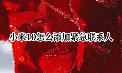 小米10怎么添加紧急联系人 小米10怎么设置紧急联系人