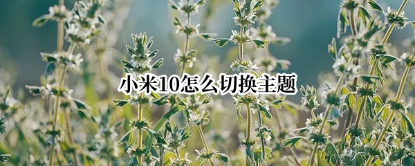 小米10怎么切换主题