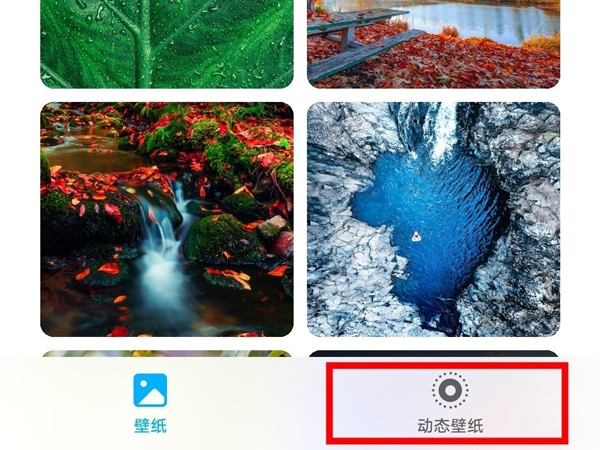 荣耀手机怎么更换动态壁纸