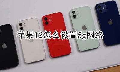 苹果12怎么设置5g网络 苹果12怎么设置12g网络