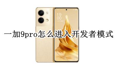 一加9pro怎么进入开发者模式 一加9pro怎么打开开发者选项