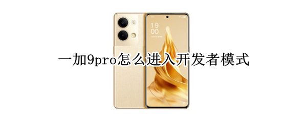 一加9pro怎么进入开发者模式