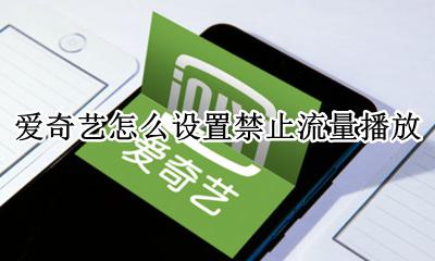 爱奇艺怎么设置禁止流量播放 爱奇艺怎么取消流量自动播放