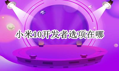 小米10开发者选项在哪 小米10的开发者选项在哪儿