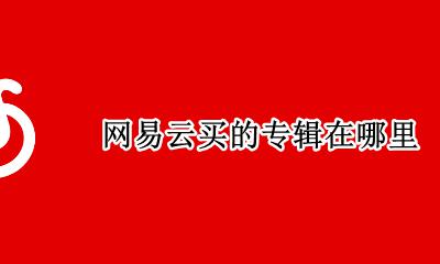 网易云买的专辑在哪里 网易云在哪看买的专辑
